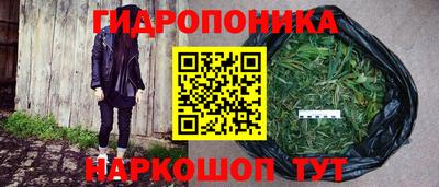 дмт Можайск