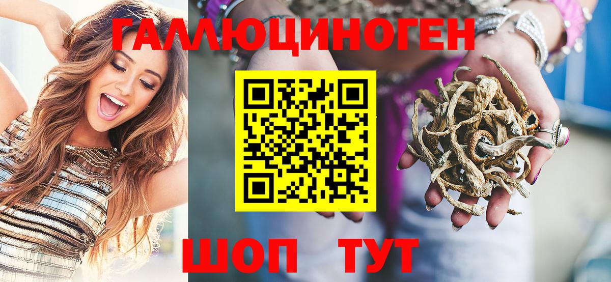 Галлюциногенные грибы Cubensis  Вход с VPN  Озёрск 
