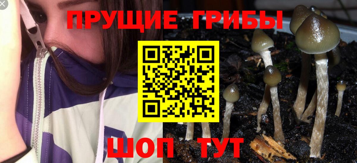 Каннабис  Вход с VPN  Кокаин  Мефедрон кристаллы  Озёрск  ГАШ  МЕФ 